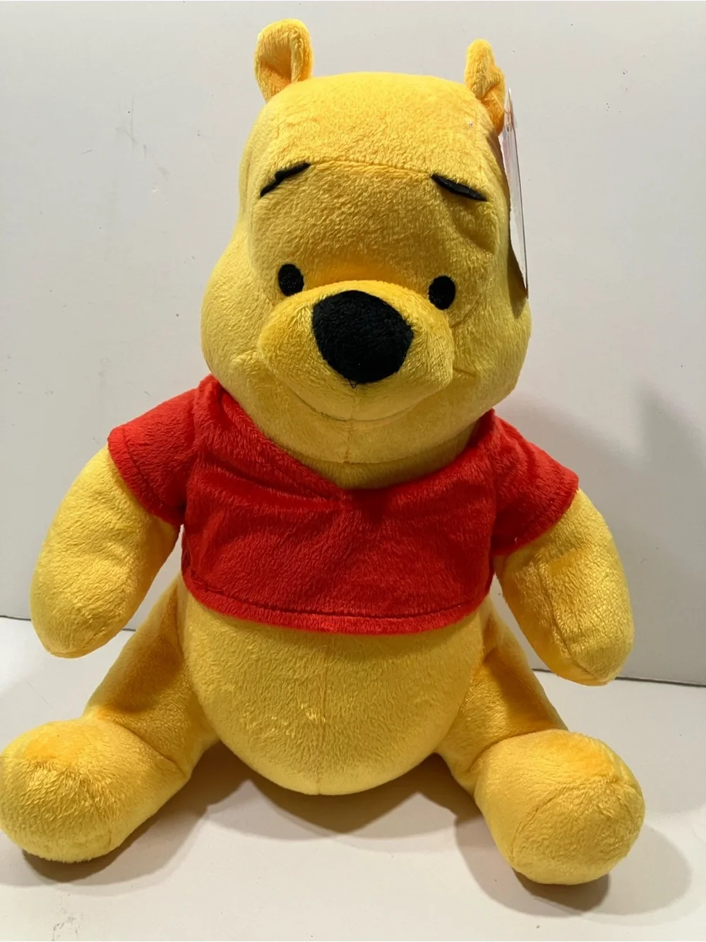 Winnie the Pooh Plush NEW